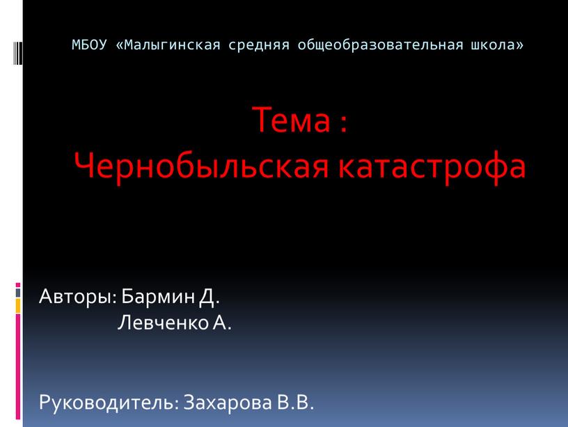 МБОУ «Малыгинская средняя общеобразовательная школа»