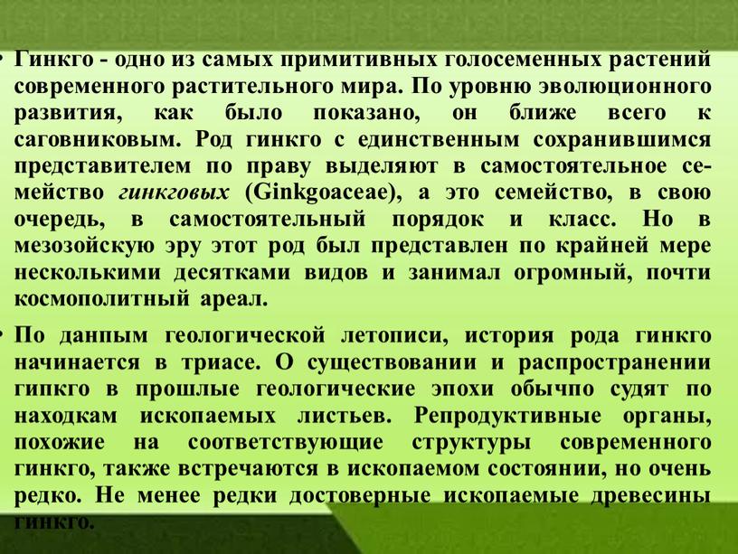 Гинкго - одно из са­мых примитивных голосеменных растений сов­ременного растительного мира