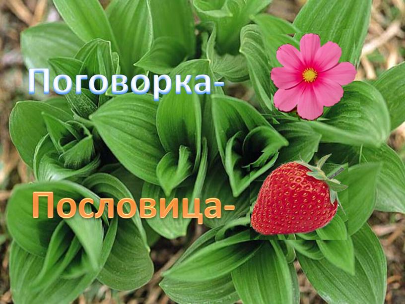 Поговорка- Пословица-