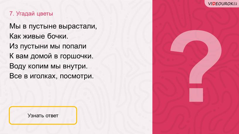 Угадай цветы Узнать ответ Мы в пустыне вырастали,