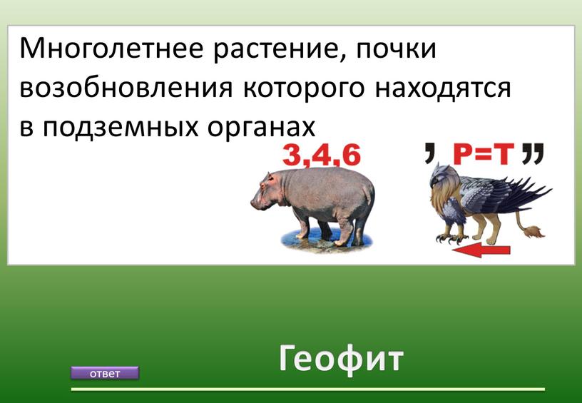 Геофит Многолетнее растение, почки возобновления которого находятся в подземных органах