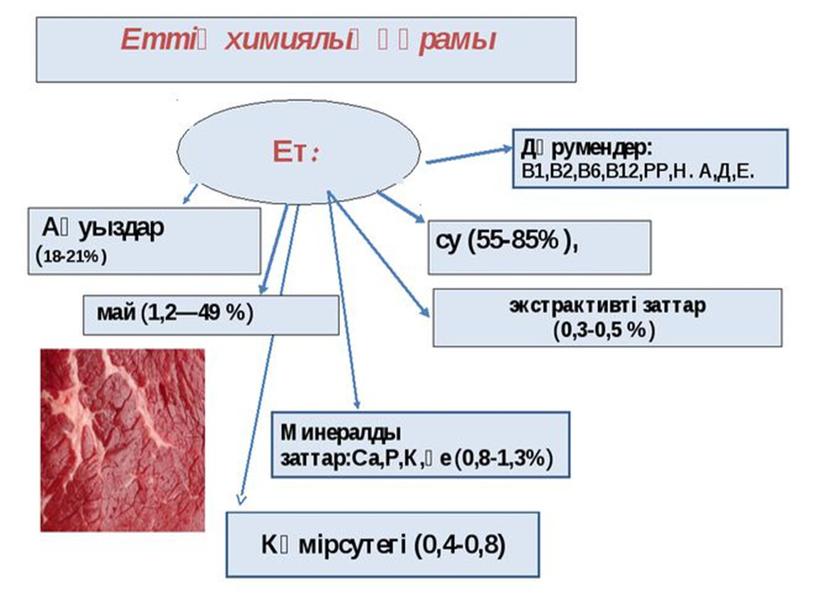 Ет ақауларын анықтау