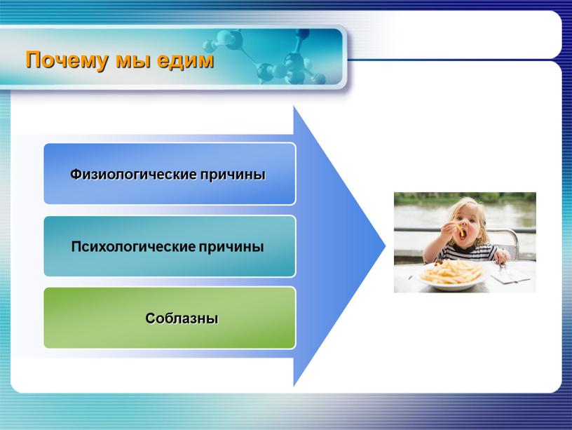 Почему мы едим Физиологические причины