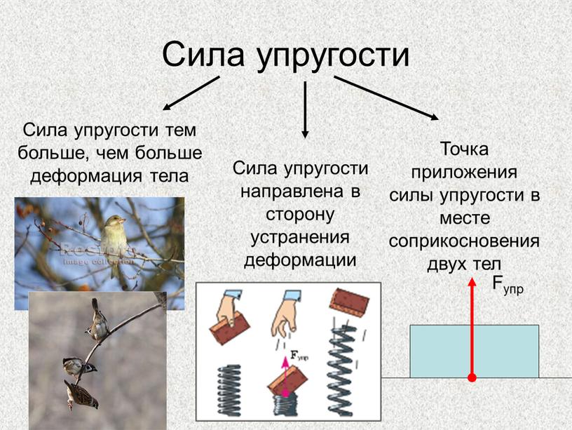 Сила упругости Сила упругости тем больше, чем больше деформация тела