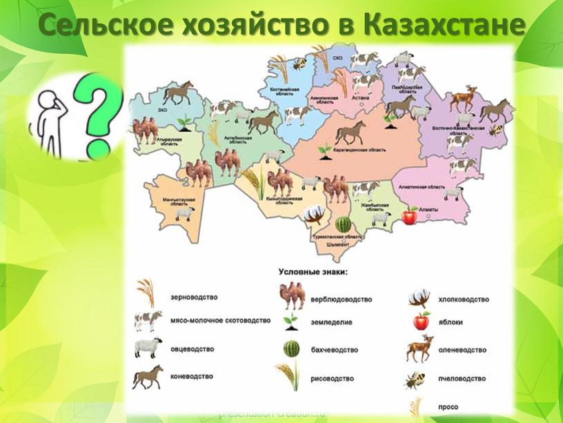 Сельское хозяйство в Казахстане
