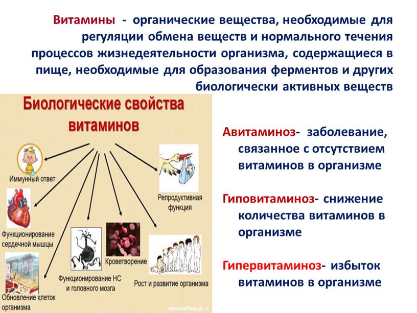 Витамины - органические вещества, необходимые для регуляции обмена веществ и нормального течения процессов жизнедеятельности организма, содержащиеся в пище, необходимые для образования ферментов и других биологически…