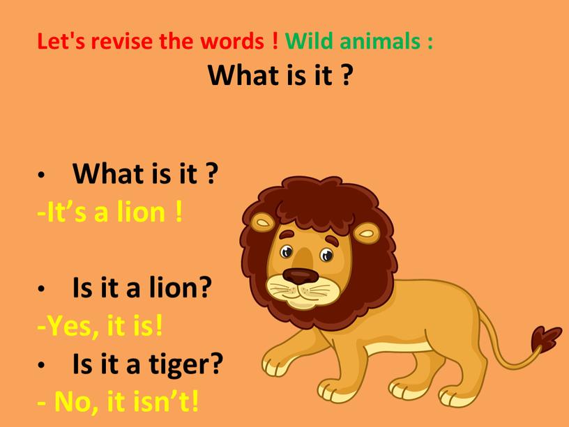 Let's revise the words ! Wild animals :