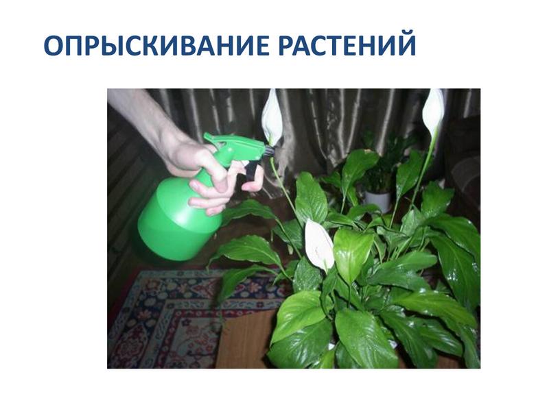 ОПРЫСКИВАНИЕ РАСТЕНИЙ