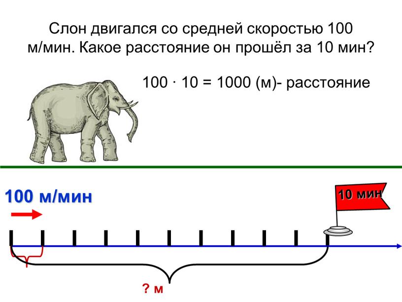 Слон двигался со средней скоростью 100 м/мин