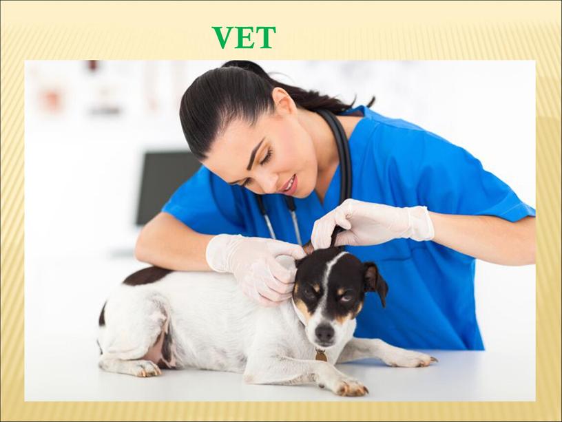 VET