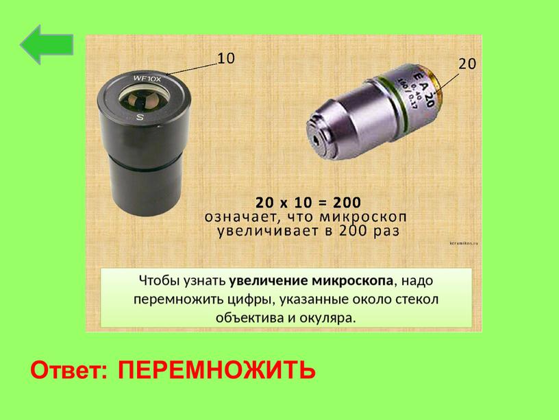 Ответ: ПЕРЕМНОЖИТЬ