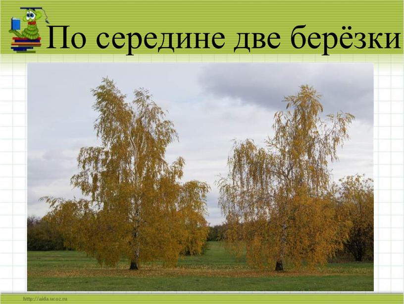 По середине две берёзки