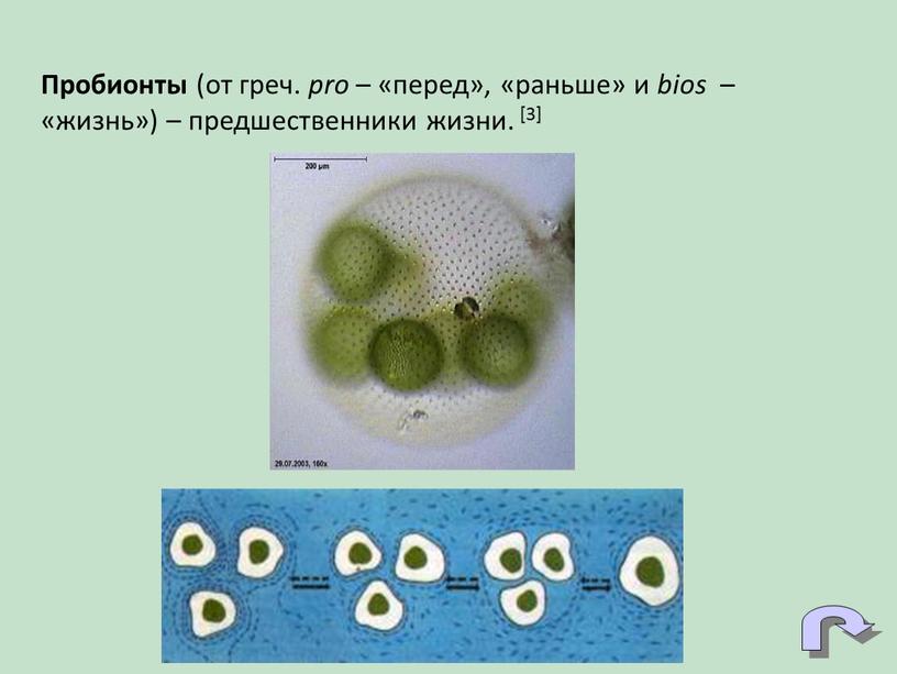 Пробионты (от греч. pro – «перед», «раньше» и bios – «жизнь») – предшественники жизни