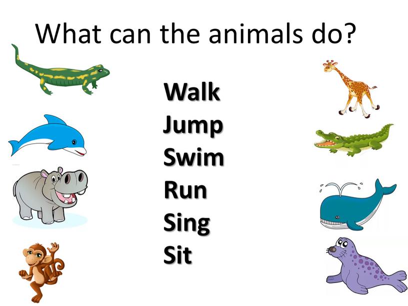 What can the animals do? Walk Jump