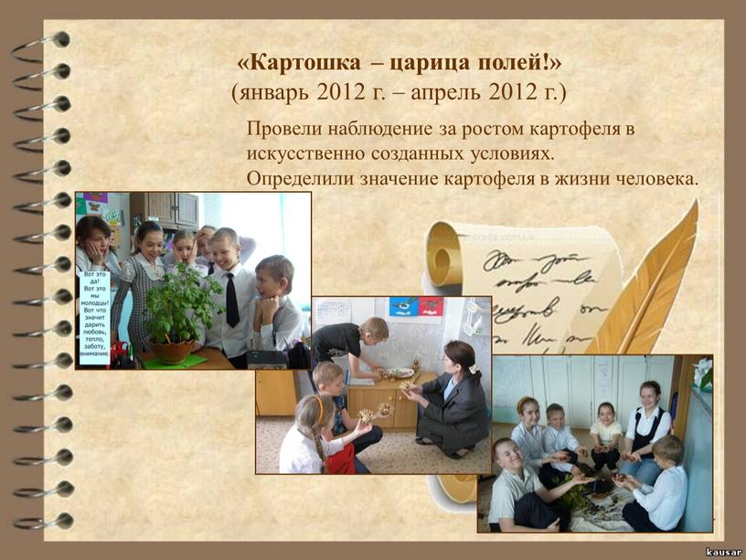 Картошка – царица полей!» (январь 2012 г