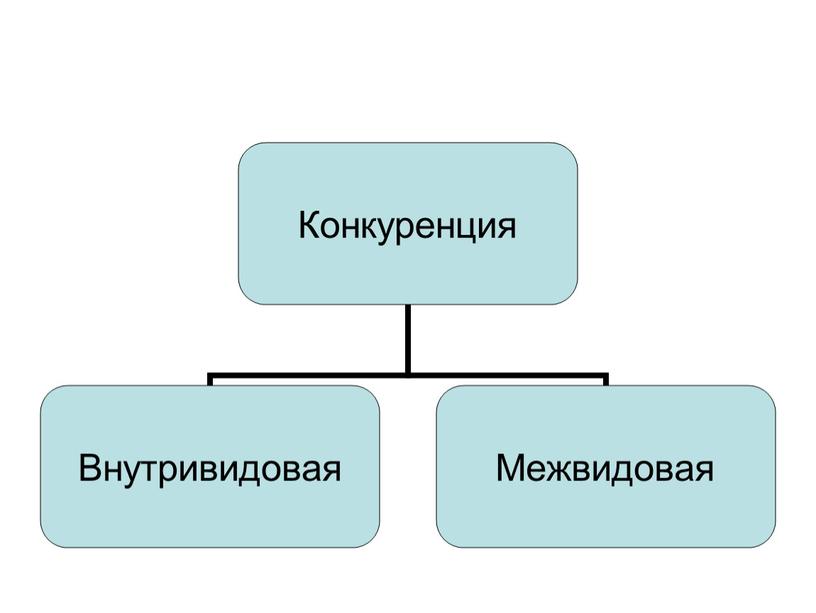 Взаимодействие популяций разных видов