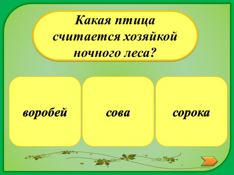 Какая птица считается хозяйкой ночного леса? сорока воробей