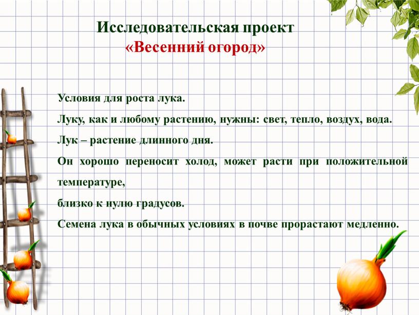 Условия для роста лука. Луку, как и любому растению, нужны: свет, тепло, воздух, вода