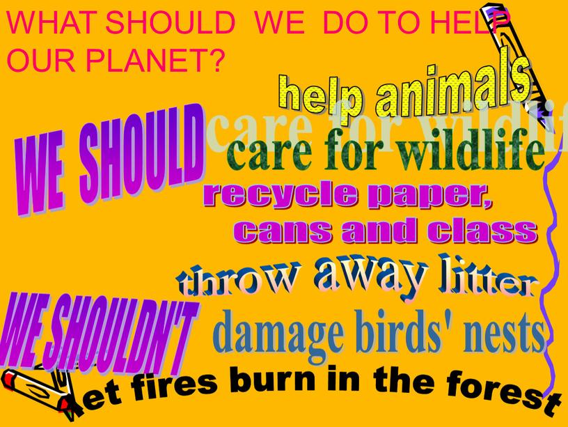 WHAT SHOULD WE DO TO HELP OUR