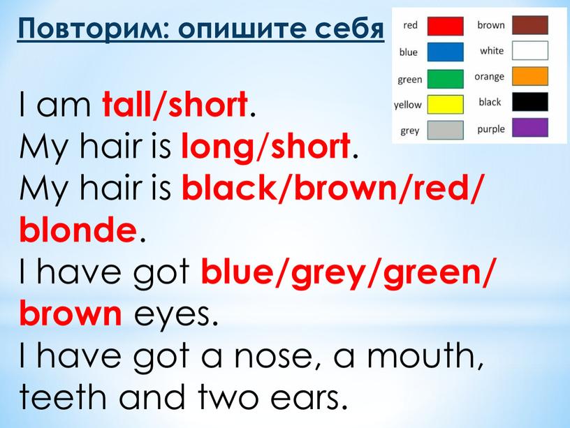 Повторим: опишите себя I am tall/short