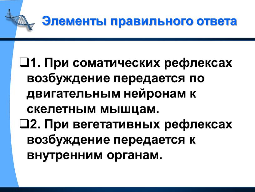 При соматических рефлексах возбуждение передается по двигательным нейронам к скелетным мышцам