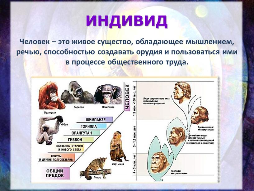 ИНДИВИД Человек – это живое существо, обладающее мышлением, речью, способностью создавать орудия и пользоваться ими в процессе общественного труда