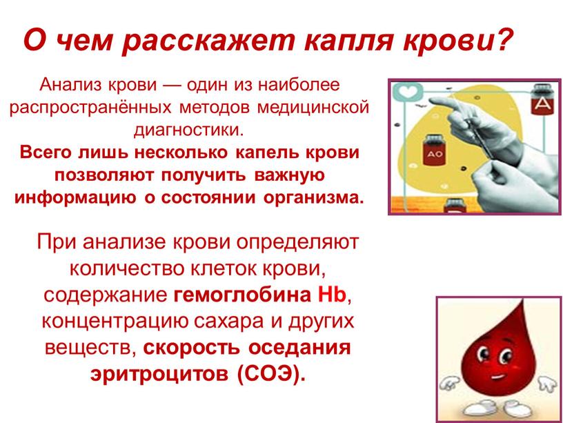 О чем расскажет капля крови? Анализ крови — один из наиболее распространённых методов медицинской диагностики