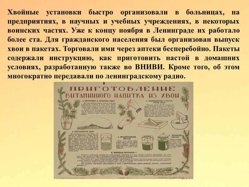 Хвойные установки быстро организовали в больницах, на предприятиях, в научных и учебных учреждениях, в некоторых воинских частях