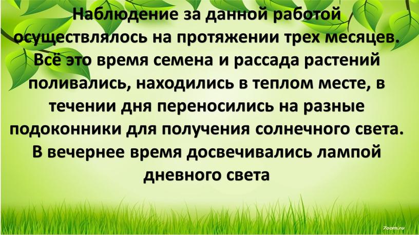 Наблюдение за данной работой осуществлялось на протяжении трех месяцев