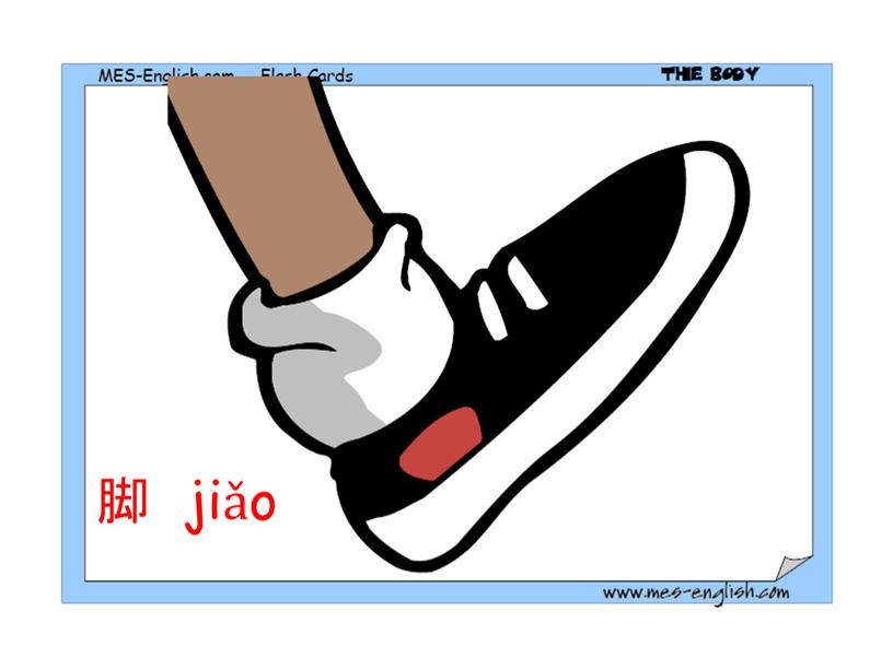 脚 jiǎo