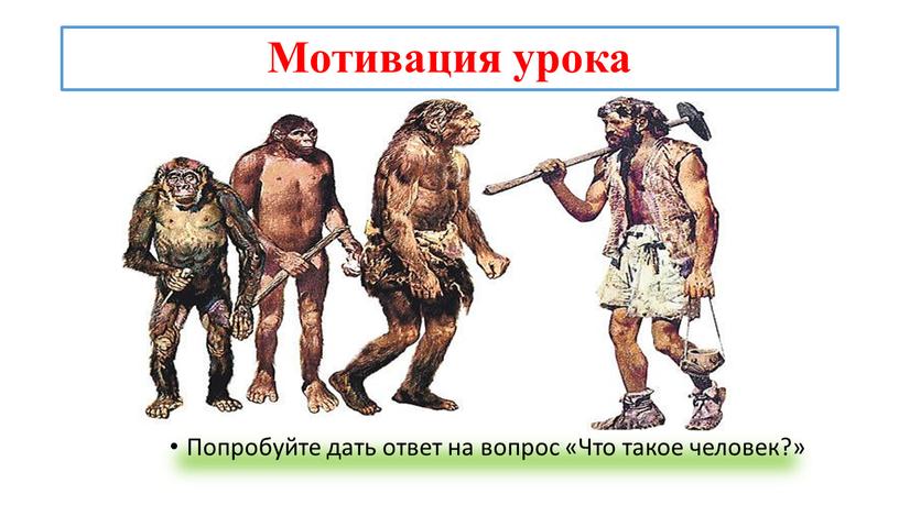 Мотивация урока Попробуйте дать ответ на вопрос «Что такое человек?»