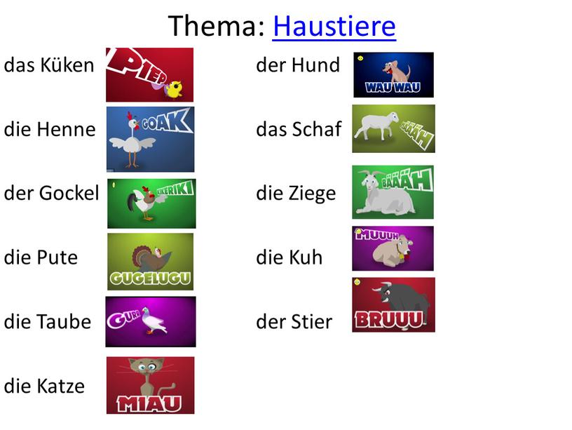 Thema: Haustiere das Küken die