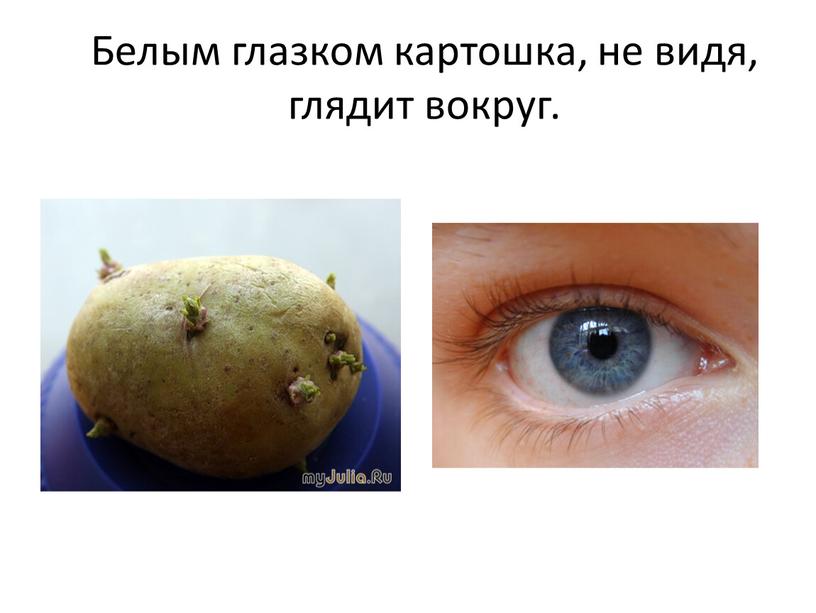 Белым глазком картошка, не видя, глядит вокруг