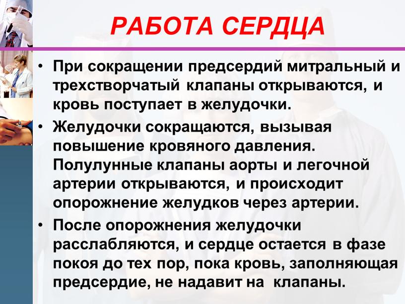 РАБОТА СЕРДЦА При сокращении предсердий митральный и трехстворчатый клапаны открываются, и кровь поступает в желудочки