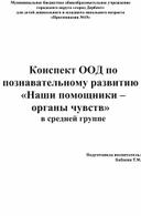 Наши помощники – органы чувств