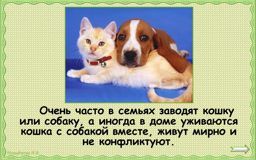 Очень часто в семьях заводят кошку или собаку, а иногда в доме уживаются кошка с собакой вместе, живут мирно и не конфликтуют