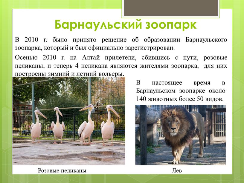 Барнаульский зоопарк В 2010 г. было принято решение об образовании