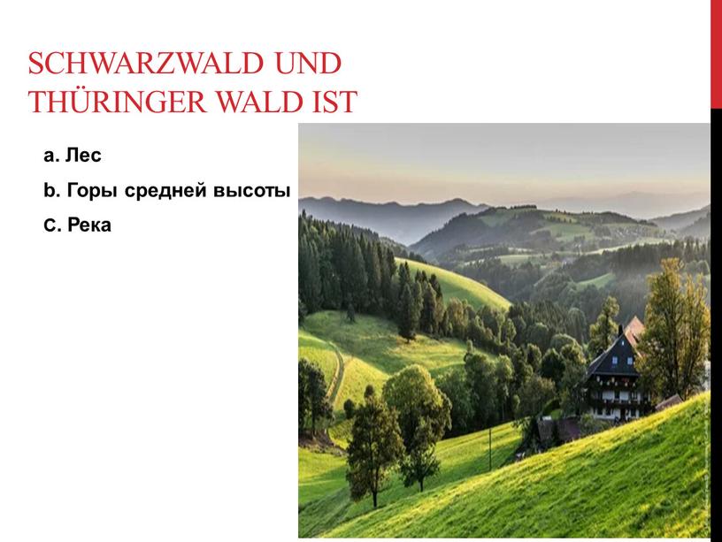 Schwarzwald und Thüringer Wald ist а