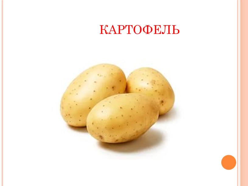 картофель