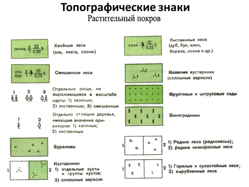 Топографические знаки