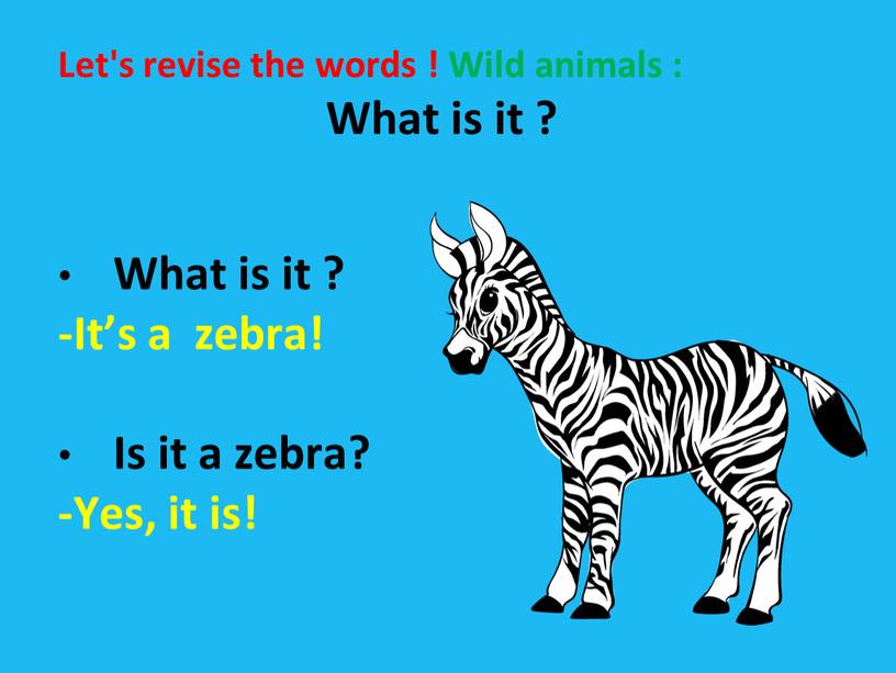 Let's revise the words ! Wild animals :