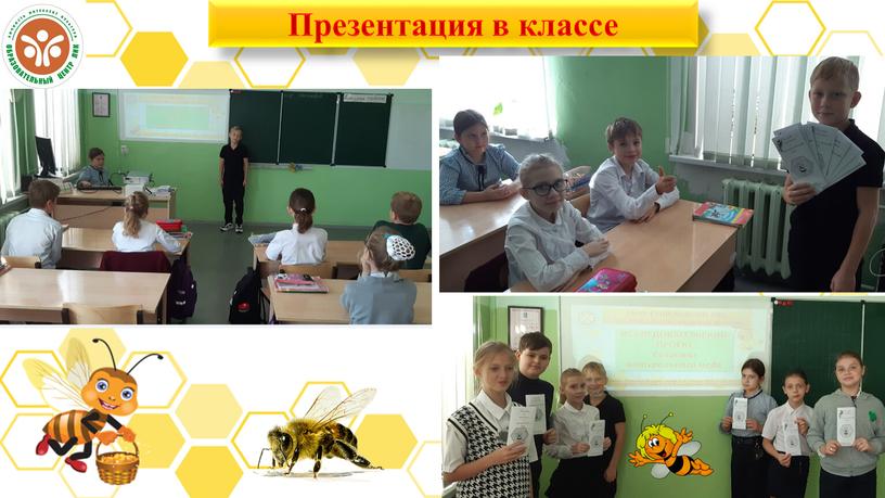 Презентация в классе