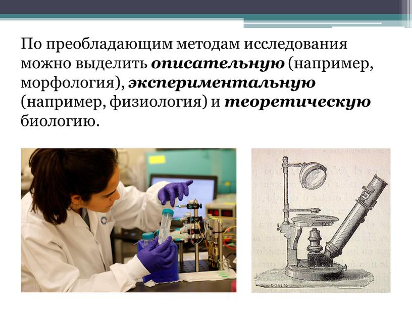 По преобладающим методам исследования можно выделить описательную (например, морфология), экспериментальную (например, физиология) и теоретическую биологию