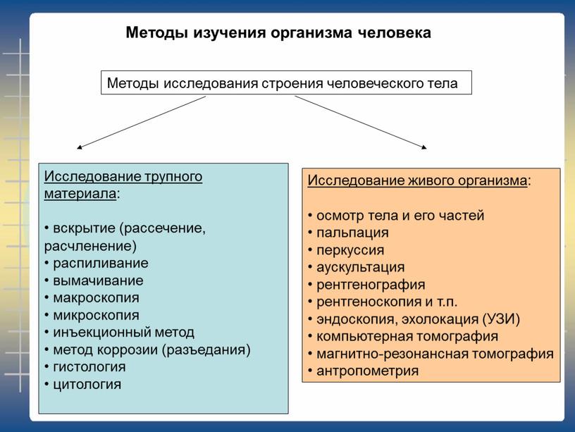 Методы изучения организма человека