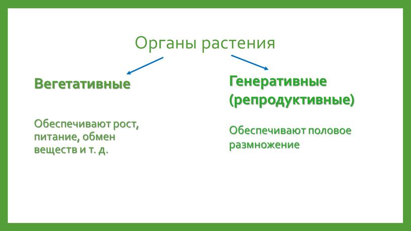 Органы растения Вегетативные Обеспечивают рост, питание, обмен веществ и т