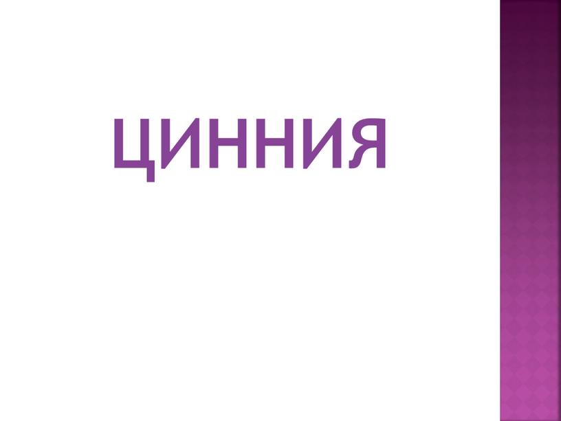 ЦИННИЯ