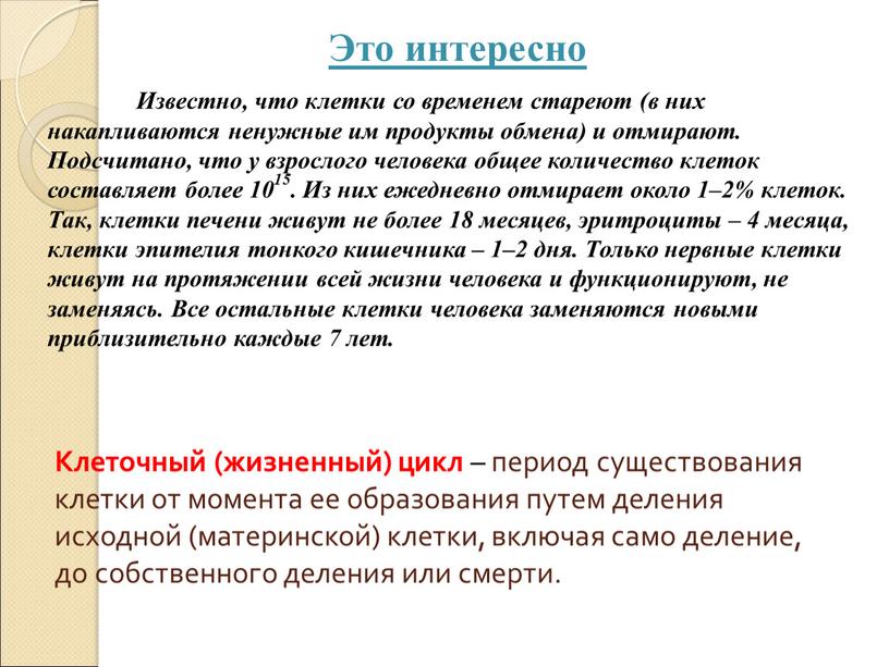 Клеточный (жизненный) цикл – период существования клетки от момента ее образования путем деления исходной (материнской) клетки, включая само деление, до собственного деления или смерти