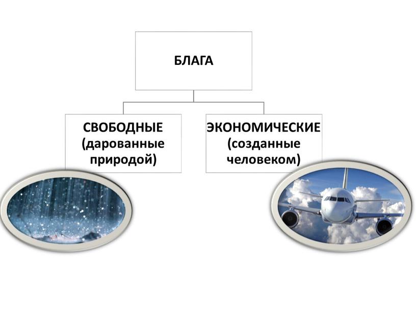 Презентация к уроку обществознания "Экономическая наука и хозяйство"