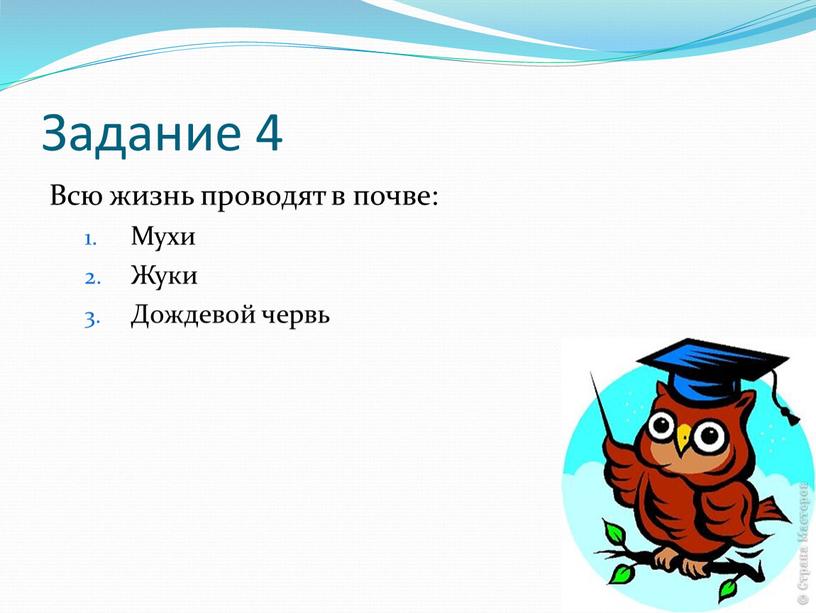 Задание 4 Всю жизнь проводят в почве: