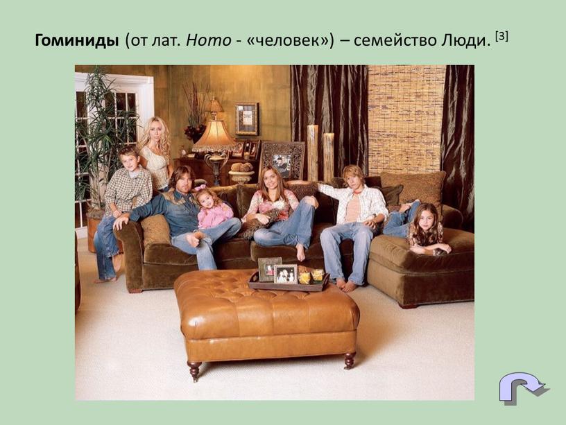 Гоминиды (от лат. Homo - «человек») – семейство